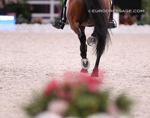 Dressage rider going down the centerline at the 2021 Olympic Games in Tokyo :: Photo © Astrid Appels