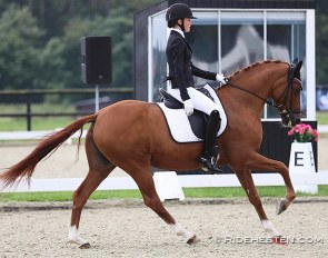 Sophia Obel Jorgensen and Adriano B at the 2021 Danish Pony Championships :: Photo © Ridehesten
