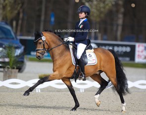 Virginia Spönle and Coer Noble at their international show debut at the 2021 CDI Opglabbeek :: Photo © Astrid Appels