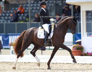 Stefanie Wolf and Belvedere DB at the 2021 World Young Horse Championships in Verden :: Photo © Astrid Appels