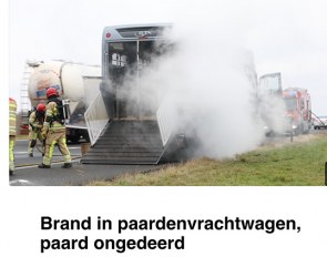 Jessica Poelman's lorry in Lelystad :: Photo © Omroep Flevoland