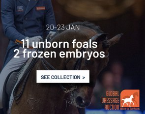 The year has only just begun, and the latest collection of Global Dressage Auction has already been launched! Not any collection, one that is exclusively compiled of high-quality dressage embryos! “People can come to us for the right genetic makeup. Not any genes, only the best and most interesting dressage genes”, says Koos Poppelaars.