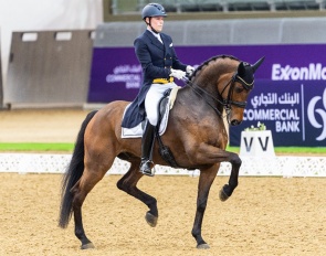 Henri Ruoste and Kontestro DB at the 2022 CDI Doha 