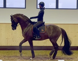 Lisa Müller schooling D'Avie at home at Gut Wettlkam, based in the south of Germany