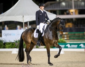 Frederic Wandres and Bluetooth OLD at the 2022 CDI Wellington :: Photo © Sue Stickle