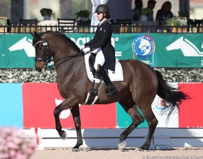 Hope Cooper and Don Diamond at the 2019 CDI Wellington :: Photo © Astrid Appels