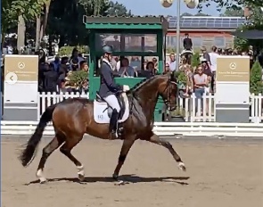 Screen capture of Quiraz at the 2021 Bundeschampionate