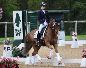 Lauren Geraghty on WS Jackson at the 2021 CDI Wellington Heckfield :: Photo © M. Lawrence