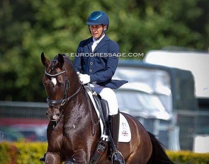 Tom Goode and Saint Julian at the 2017 World Young Horse Championships in Ermelo :: Photo © Astrid Appels