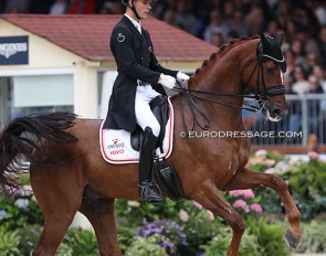 Daniel Bachmann Andersen and Marshall Bell at the 2021 European Dressage Championships :: Photo © Astrid Appels