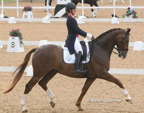Charlotte Dujardin and Imhotep :: Photo © Kevin Sparrow