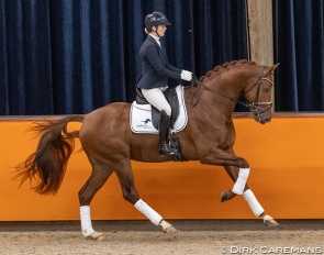 Franka Loos with Mowgli VOD at the presentation of the 2017 born stallions during the 2021 KWPN Stallion Licensing :: Photo © Dirk Caremans