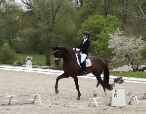 Johanna Wadenspanner and Va Bene at the 2022 CDN Ansbach :: Photo © screen shot