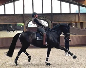 Emma Booth riding Friday V under the watchful eyes of Maree Tomkinson in Krefeld, Germany