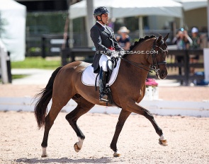 Colombian Raul Corchuelo on Harley N (by Chagall x Oscar) at the 2022 CDI Wellington :: Photo © Astrid Appels