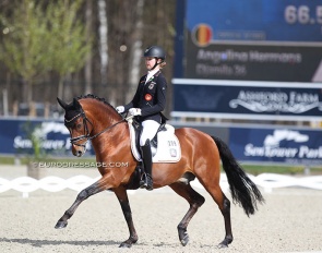 Antonia Roth competing Dark Delight at the inaugural CDI Opglabbeek at Sentower Park in 2021 :: Photo © Astrid Appels