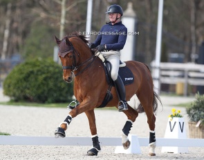 Hubertus Schmidt schooling Denoix at the 2022 CDI Opglabbeek :: Photo © Astrid Appels