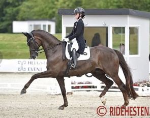 Josefine Hoffmann and Honnerups Driver at the 2022 Danish Dressage Championships :: Photo © Ridehesten