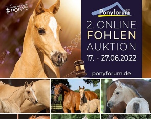 Ponyforum - 2nd online pony foal auction of the 2022 summer season