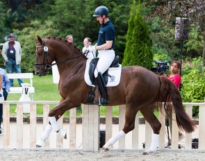 Dries van Dijck on Valerioll at the 2022 Hof Kasselmann and Paul Schockemöhle Hybrid Auction on 17 June 2022 :: Photo © Thomas Hellmann