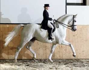 Christine Stuckelberger on Ramiro's Bube :: Photo © Recki Media