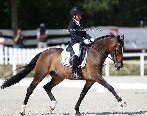 Oscar O’Connor with Top Hero at the 2020 European Pony Championships :: Photo © Astrid Appels