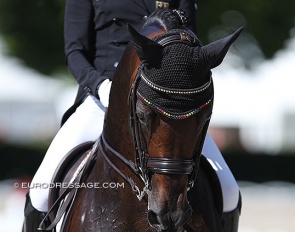 Ingrid Klimke's Franziskus is long listed for team selection for the 2022 World Championships Dressage :: Photo © Astrid Appels