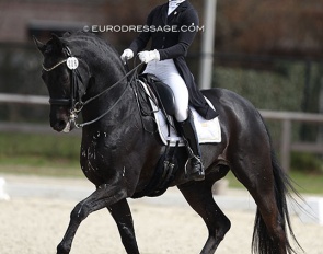 Lore Vandenborne and Ikke-Pia van de Bergerhoeve at the 2022 CDI Opglabbeek :: Photo © Astrid Appels
