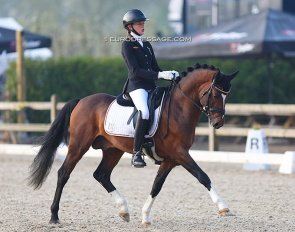 Georgina Kraft and TI Drei D at the 2022 CDI Sint-Truiden :: Photo © Astrid Appels