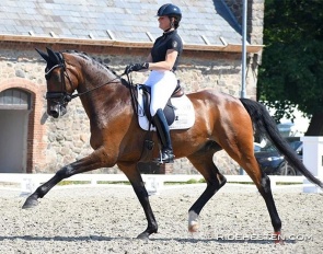 Susanne Barnow on Skovdals Dexter at the Danish WCYH selection trial on 20 July 2022 :: Photo © Ridehesten