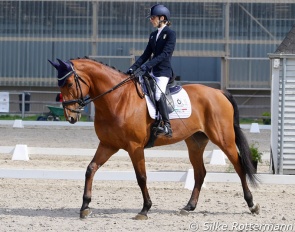 Sara Morganti on Mariebelle at the 2022 CPEDI Waregem :: Photo © Silke Rottermann