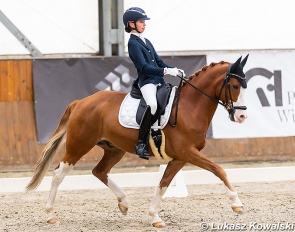 Pola Guerquin-Koryzma on Milky Way PP at the 2022 CDI Zakrzow :: Photo © Lukasz Kowalski