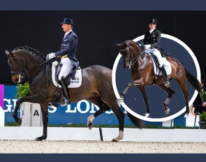 Embryo by Sandro Hit out of Olympic mare Deja (by Silvano x Don Schufro)