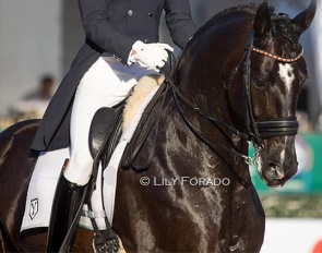 Copernico with Juan Matute Guimon at the CDI Wellington :: Photo © Lily Forado