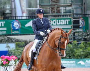 Lee Garrod and Question at the 2020 CPEDI Wellington :: Photo © Sue Stickle