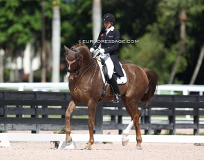 Susan Pape and Bourani at the 2020 CDN Wellington :: Photo © Astrid Appels