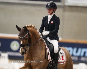 Josephine Gert Nielsen and Kastanienhof Crimson Gold at their CDI debut in Opglabbeek, Belgium in March 2022 :: Photo © Astrid Appels