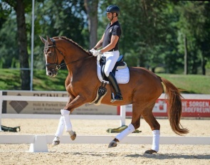 Martin Hauptmann and Quantum Gluck at the Austrian WCYH selection trial :: Photo © Katharina Brandstetter