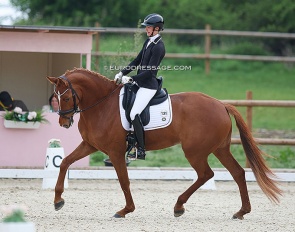 Philine Brunner on the 5-year old Terplin's Ravena at the 2022 CDI Troisdorf :: Photo © Astrid Appels