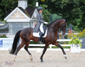 Olivia Lagoy-Weltz and Johnny Be Goode in the Developing PSG Horse Class at the 2022 U.S. Dressage Championships :: Photo © Sue Stickle
