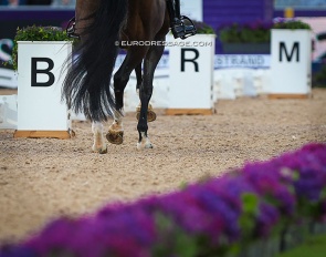 Photo © Astrid Appels