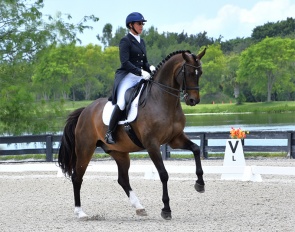 Vangens Star-Light (by Skovens Rafael x Midt-West Ibi Light) 