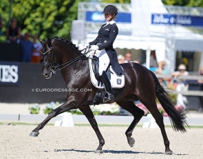 Isabel Freese and Fürsten-Look won bronze at the 2018 World Young Horse Championships :: Photo © Astrid Appels