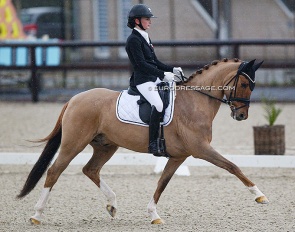 Josephine Gert Nielsen and Strandgaards Doleys at the 2022 CDI Opglabbeek :: Photo © Astrid Appels