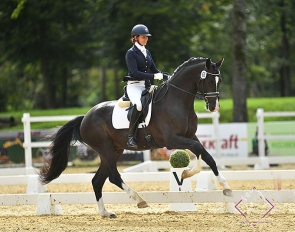 Jeannine Zuber on Eyecatcher W at the 2022 Austrian Warmblood Young Horse Championships :: Photo © Team Myrtill