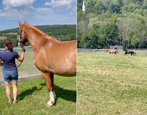 Catherine Haddad sending off Winyamaro for his retirement to the field at Beezie Madden's stable
