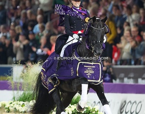 Glamourdale competed at the World Young Horse Championships as a 5-year old, he won as a 7-year old and is now the World Dressage Champion :: Photo © Astrid Appels