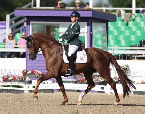 Rodolpho Riskalla and Don Henrico at the 2022 World Para Dressage Championships :: Photo © Astrid Appels