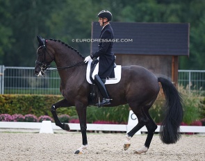Andreas Helgstrand on Queenparks Wendy at the 2022 CDI Ermelo :: Photo © Astrid Appels