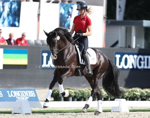  the arena familiarisation at the 2022 World Young Horse Championships in Ermelo :: Photo © Astrid Appels